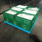 Peti Penyimpanan Plastik Hijau 600x400x220cm Untuk Sayuran Buah